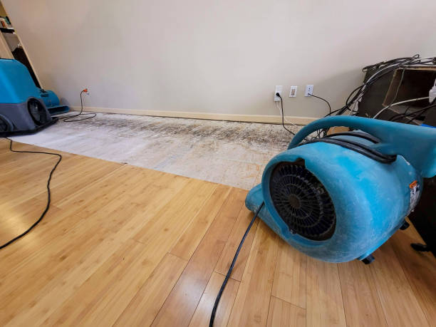 Reliable Basement Flood Cleanup contractor in King, WI by Hirex Water Damage