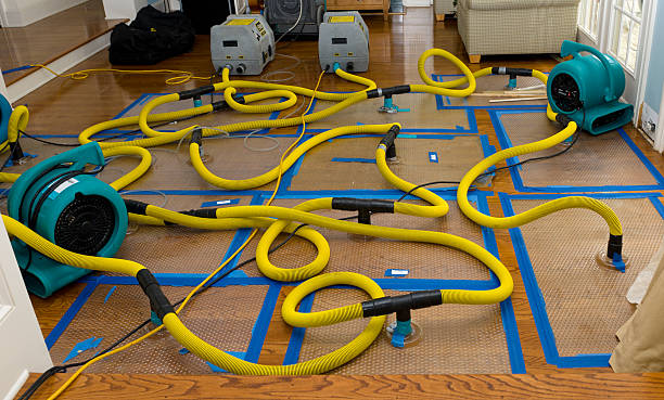 Professional Basement Flood Cleanup technician working in King, WI